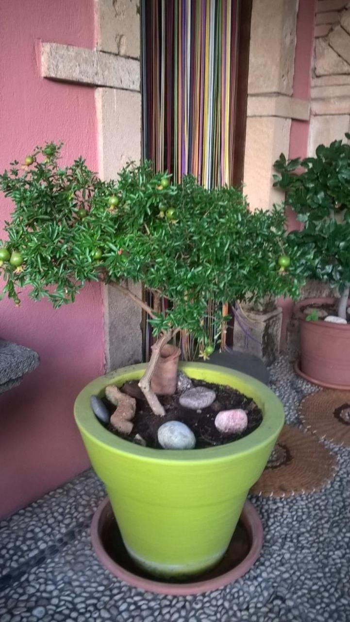 Agriturismo Il Melograno Riola Sardo Extérieur photo